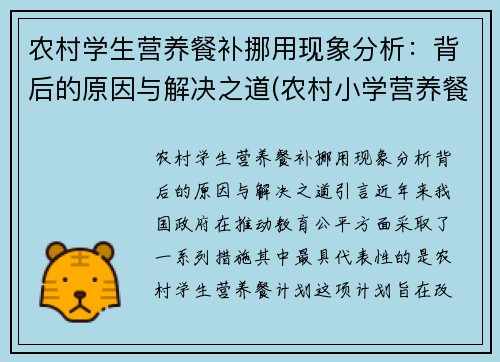 农村学生营养餐补挪用现象分析：背后的原因与解决之道(农村小学营养餐补助)