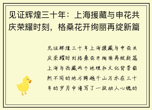 见证辉煌三十年：上海援藏与申花共庆荣耀时刻，格桑花开绚丽再绽新篇