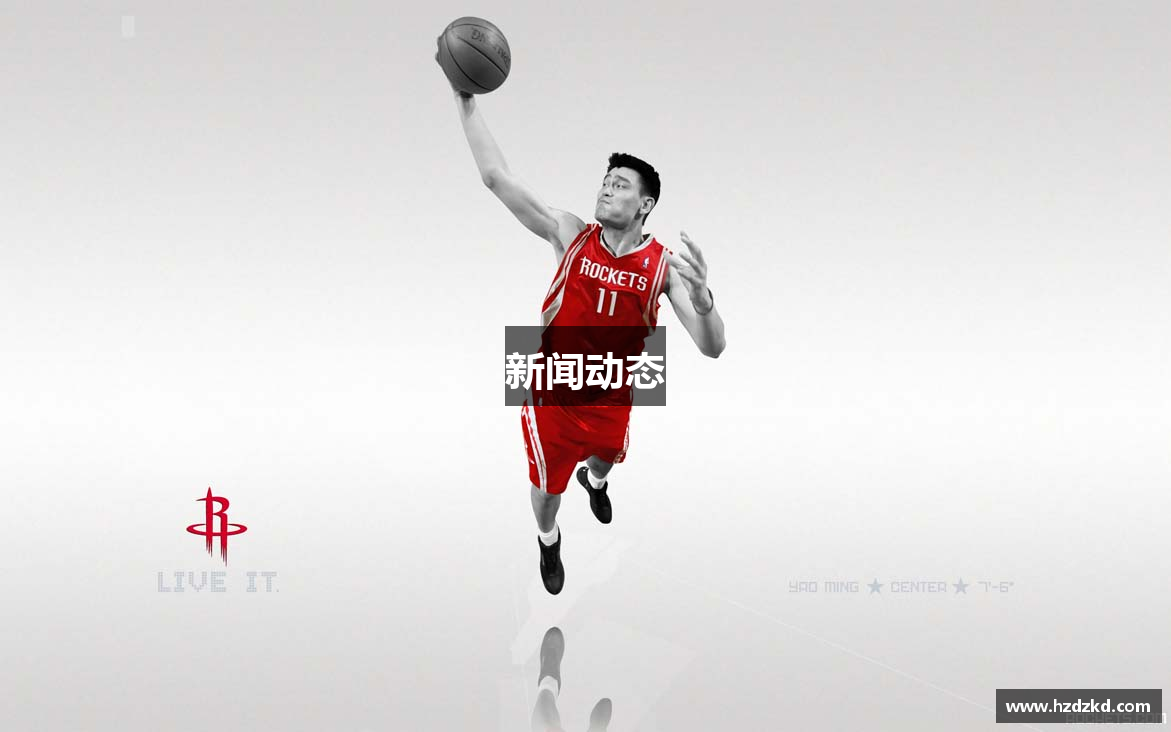 新闻动态